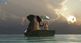 装饰画 晶瓷画 大象