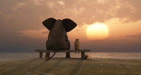 装饰画 晶瓷画 大象