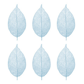 装饰画 晶瓷画 叶子