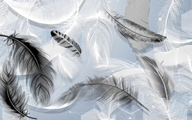 灰色羽毛画 文件分层 