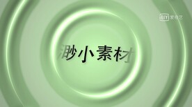 片头动画品牌展示LOGO动画 