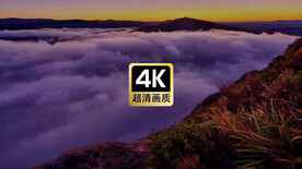 短视频素材朝霞山顶翻滚紫色云海