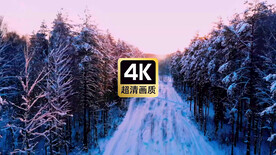 航拍雪原树林道路