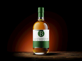 啤酒瓶样机设计图