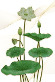 装饰画 抽象画 线条 荷花