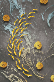 装饰画 抽象画 鱼 荷叶