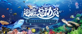 海底总动员活动图片