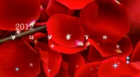 结婚视频模板片头