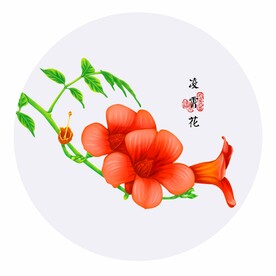 手绘凌霄花