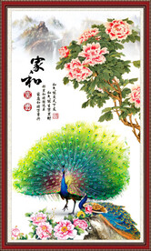 孔雀牡丹图