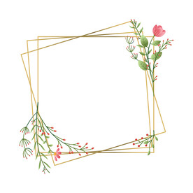 小清新花卉树叶几何金色边框