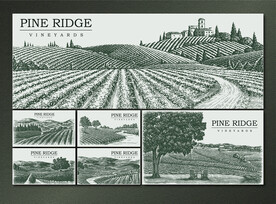 矢量手绘传统葡萄农庄