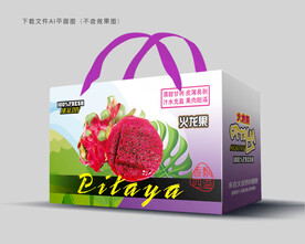 火龙果包装 