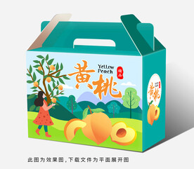 黄桃礼盒包装