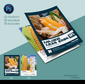 玉米种子宣传单
