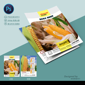 玉米种子单页