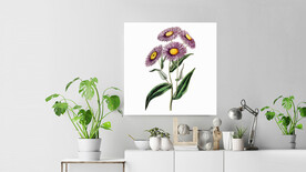 50X50厘米版画素材紫色花朵