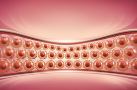 脂肪吸收细胞护肤海报背景