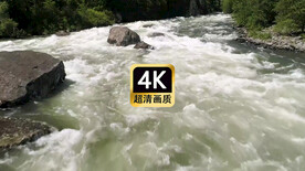 短视频素材航拍林间奔腾的河水