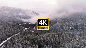 短视频素材航拍薄雾森林道路