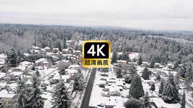 短视频素材航拍冬季村庄道路