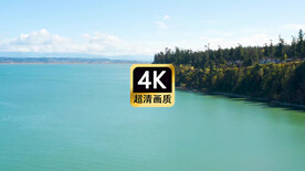 短视频素材航拍海岛森林美景