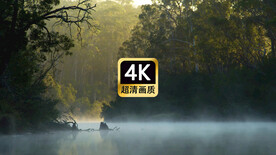 短视频素材唯美林间薄雾湖面