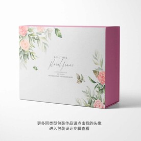 精品包装盒设计平面图