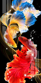 时尚孔雀鱼轻奢玄关背景