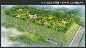 填沟造林效果图