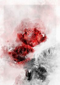 玫瑰抽象 钻石玫瑰