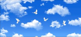 蓝天白云鸽子