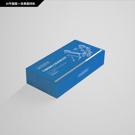 汽车正时链条系统包装