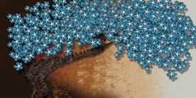 晶瓷画 树林风 兰花