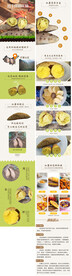 清新地瓜详情淘宝简约详情设计