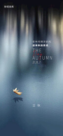 立秋节气海报