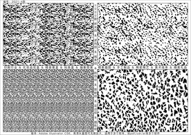 折光纹 逆向纹 线条纹 防伪纹
