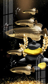 富贵金龙鱼金色玄关