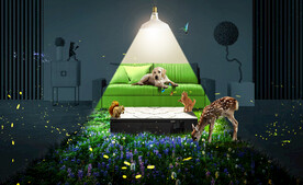 家具自然灯光合成海报