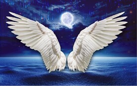 现代北欧风天使翅膀电视背景墙