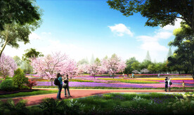 花田 花海 活动绿地