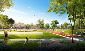 活力绿地 林下活动 公园