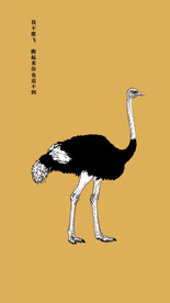 鸵鸟