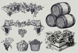 矢量手绘葡萄与酒桶