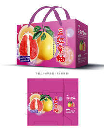 三红蜜柚包装