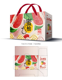 三红蜜柚包装 
