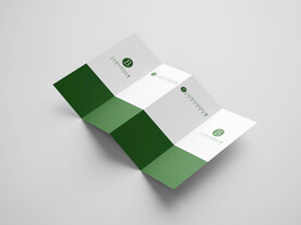 三折页样机效果图