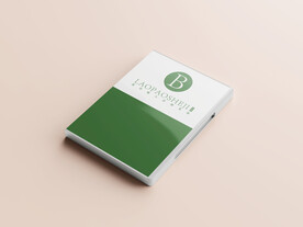 光盘样机效果图片