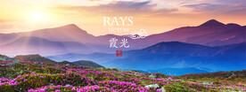 山与花背景