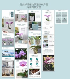 花卉鲜活植物产品详情页